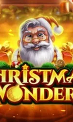Christmas Wonders